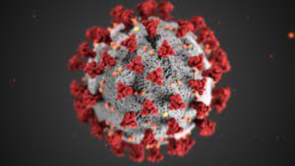 Coronavirus Coronavirus