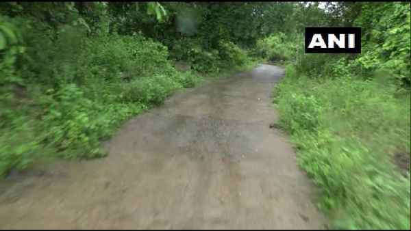 भाई के निधन के बाद हरिहर अकेले ही मिशन में जुटे रहे