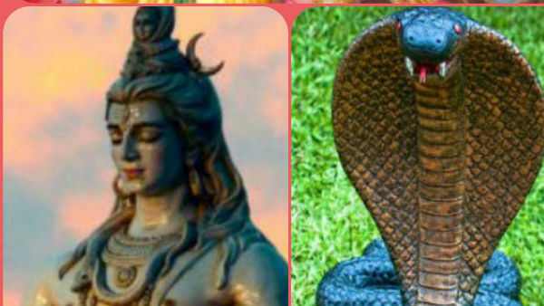 इस बार चित्रा नक्षत्र और त्रिवेणी संयोग में मनेगी नाग पंचमी इस बार चित्रा नक्षत्र और त्रिवेणी संयोग में मनेगी नाग पंचमी
