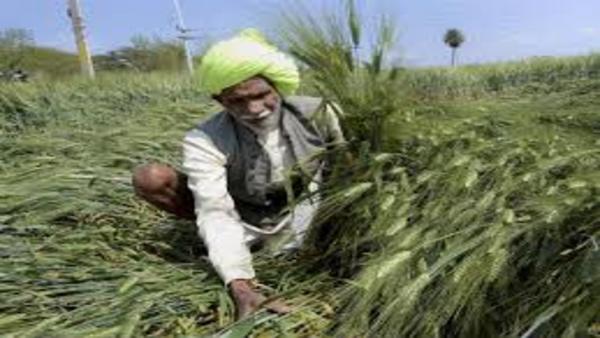 किसान किसान