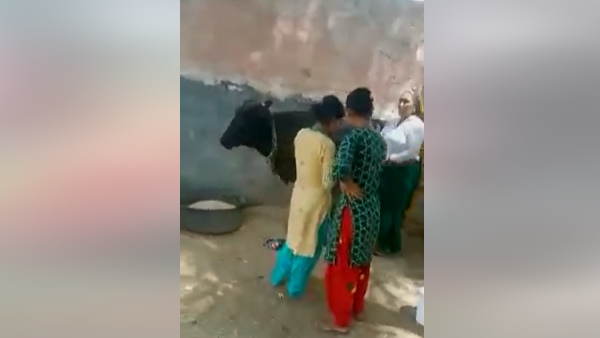 फिर किसी के काम नहीं आया दूध