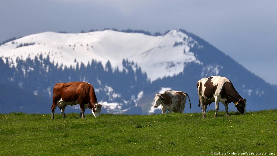 Provided by Deutsche Welle Provided by Deutsche Welle