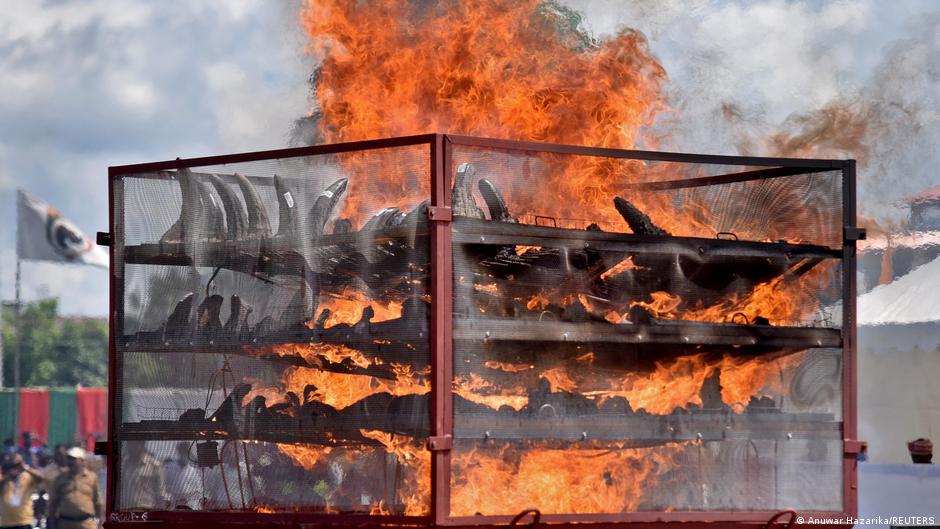 Provided by Deutsche Welle Provided by Deutsche Welle