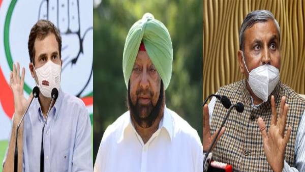 BJP on congress BJP on congress