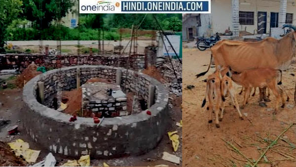 गाय करुणा की पिछले साल मौत