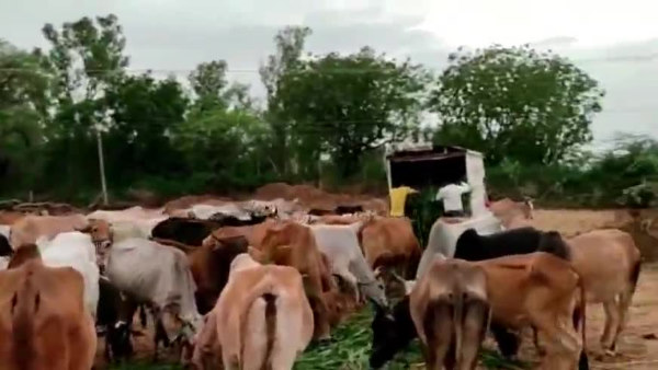 भामाशाहों ने की आर्थिक मदद