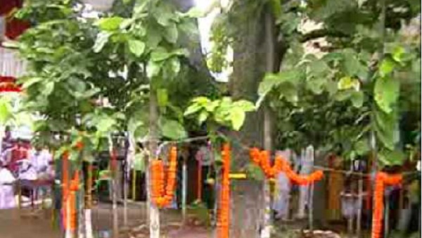 Karma Puja 2021: जानिए करम पूजा की तिथि, महत्व और कथा Karma Puja 2021: जानिए करम पूजा की तिथि, महत्व और कथा