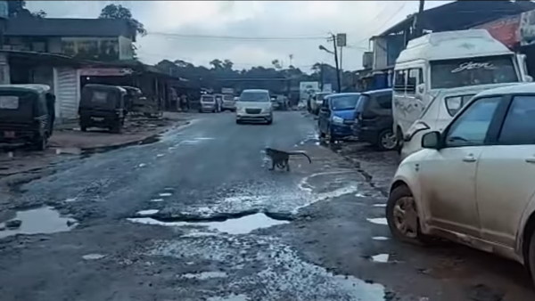 शख्स बंदर के खौफ से घर से नहीं निकल पाया