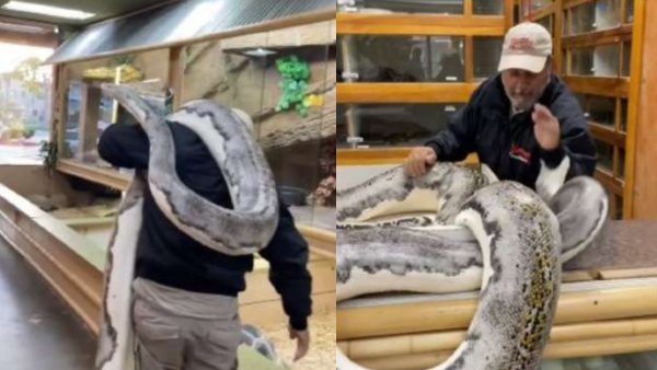 पहले हाथ पर किया हमला