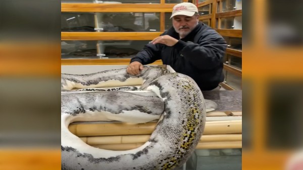 मुंह को बनाया निशाना