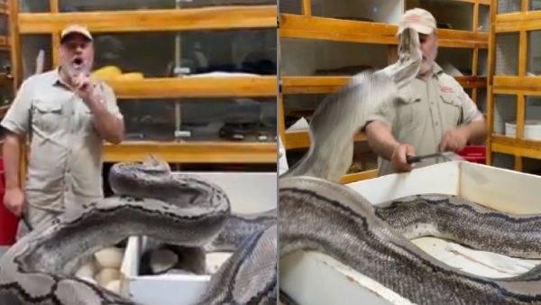 वायरल हुआ वीडियो