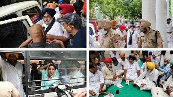 S BADAL DELHI S BADAL DELHI