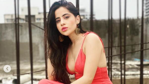 टीवी पर कई शोज में नजर आ चुकी हैं उर्फी