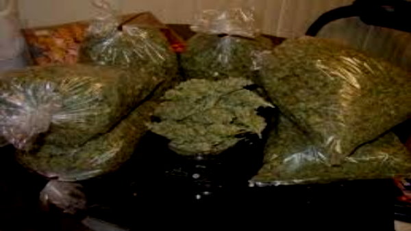 ganja photos ganja photos