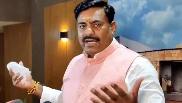mla mla