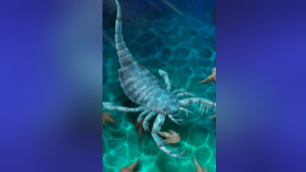 खाने की तलाश में धरती पर आए