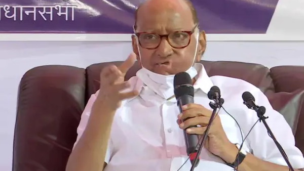 Sharad Pawar says he had insisted that Uddhav Thackeray become chief minister of Maharashtra Sharad Pawar says he had insisted that Uddhav Thackeray become chief minister of Maharashtra