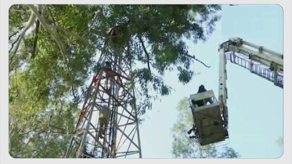 Chandigarh ETT teacher climbed up tower Chandigarh ETT teacher climbed up tower