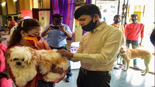 पेट्स ओनर्स के सामने आ रही है ये मजबूरी