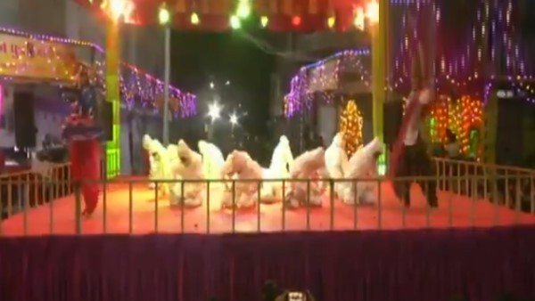 राजकोट में गरबा