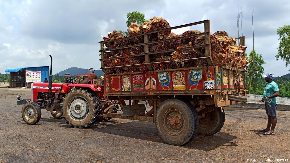 Provided by Deutsche Welle Provided by Deutsche Welle