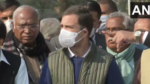 Congress MP Rahul Gandhi Congress MP Rahul Gandhi