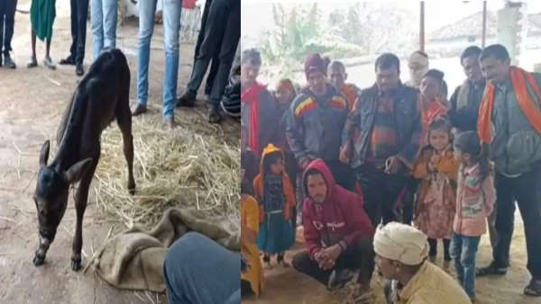 अक्सर होते हैं ऐसे मामले