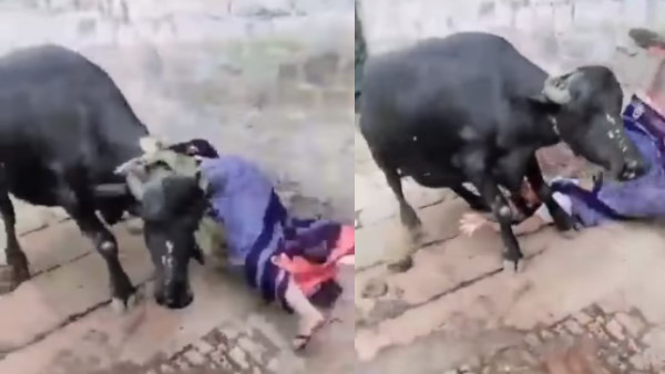 अगले ही पल हुआ ये हाल