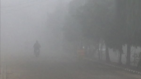 punjab weather today: fog engulfs Ludhiana city, reduced visibility punjab weather today: fog engulfs Ludhiana city, reduced visibility