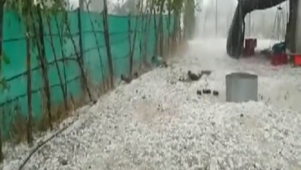 ओडिशा में भी बारिश के साथ ओले गिरे