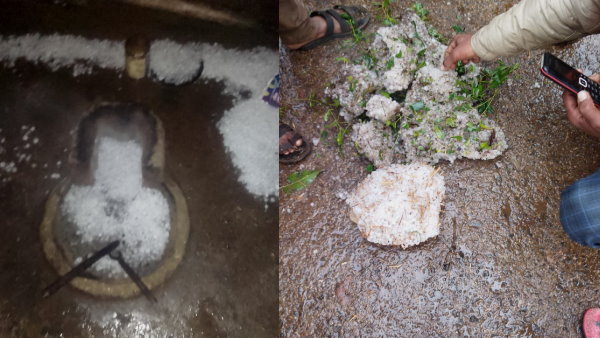 12 गांवों में ओलावृष्टि