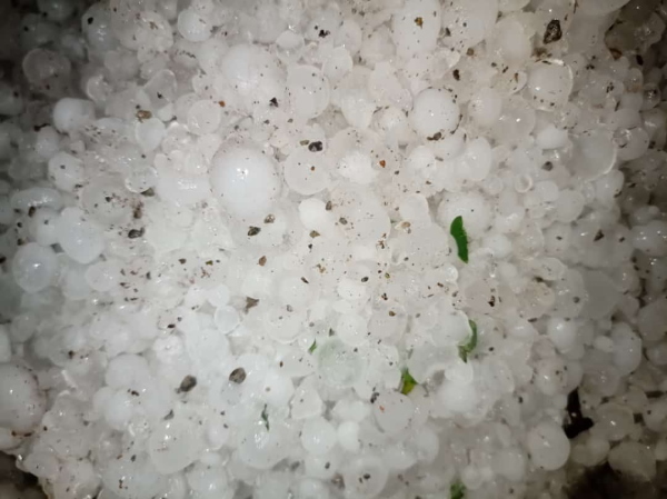 इन जगहों पर ओलावृष्टि से नुकसान