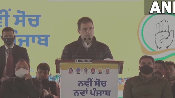 rahul gandhi punjab rahul gandhi punjab