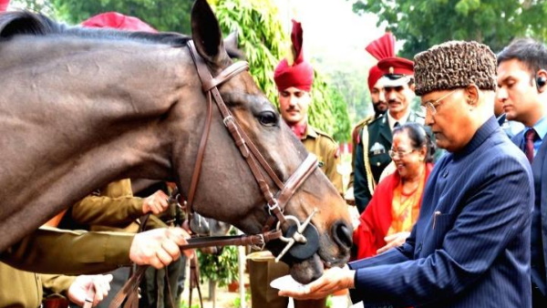 बुढ़ापे के बावजूद असाधारण रूप से अच्छा प्रदर्शन किया