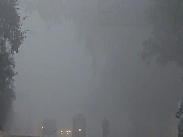 punjab weather today: fog engulfs Ludhiana city, reduced visibility punjab weather today: fog engulfs Ludhiana city, reduced visibility