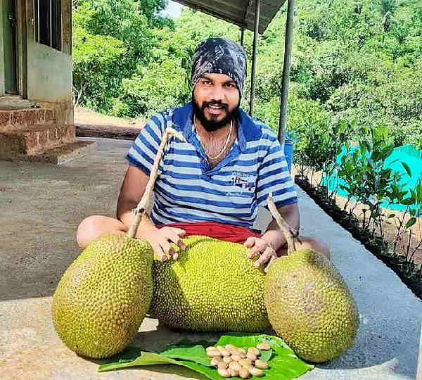 यहीं होता है वर्ल्ड फेमस आम- अल्फांसो