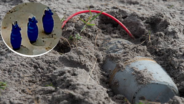 Grenades & Ammunition found on Haryana-Punjab border, destroyed by bomb squad Grenades & Ammunition found on Haryana-Punjab border, destroyed by bomb squad
