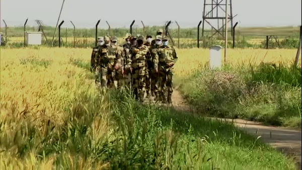 BSF recovered heroin from wheat fields at india pakistan border area BSF recovered heroin from wheat fields at india pakistan border area