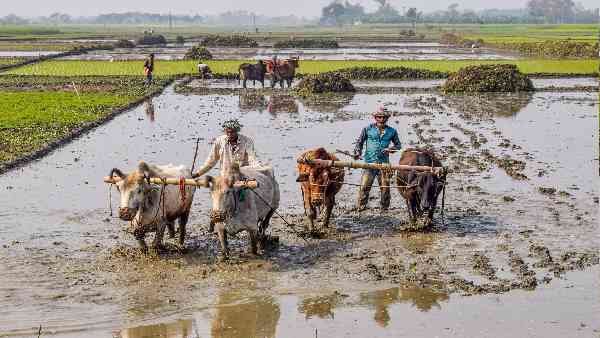 पीएम किसान ई-केवाईसी प्रक्रिया कैसे पूरी करें?
