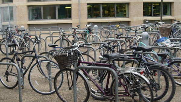 Cycle Day Cycle Day