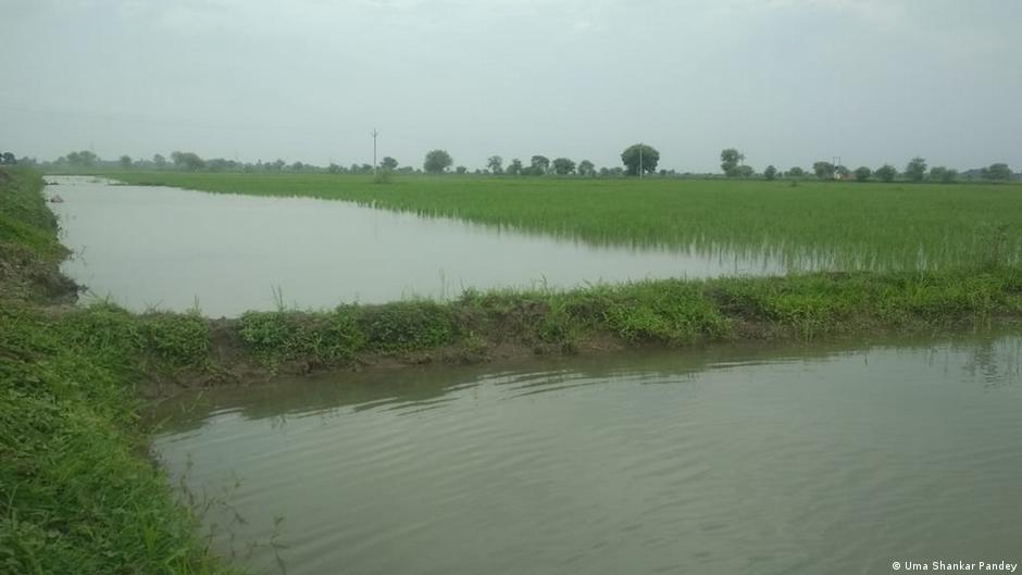 यूपी सरकार को सता रही है सूखे की चिंता
