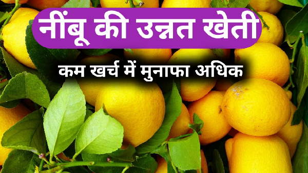 यूं बन गई