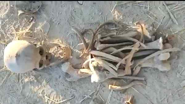 Skeletons of Indian heroes of the freedom struggle of 1857, recovered from Ajnala in Punjab, actually belonged to soldiers from the Gangetic plains Skeletons of Indian heroes of the freedom struggle of 1857, recovered from Ajnala in Punjab, actually belonged to soldiers from the Gangetic plains
