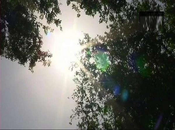 Delhi weather today: The Indian Meteorological Department (IMD) Orange alert, know the current temperature across city Delhi weather today: The Indian Meteorological Department (IMD) Orange alert, know the current temperature across city