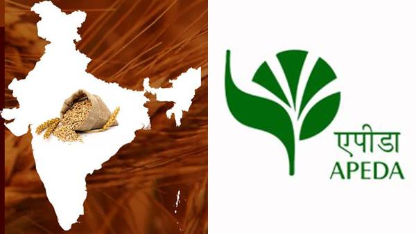गेहूं की कीमतों में इजाफा