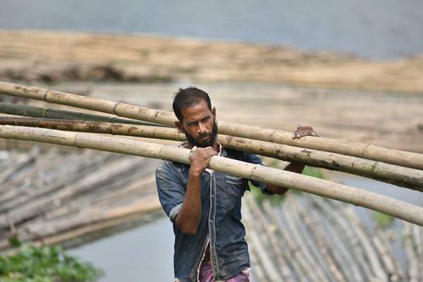 बांस के चारकोल पर से 'निर्यात प्रतिबंध' हटा