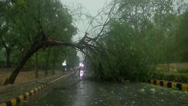 delhi rain delhi rain
