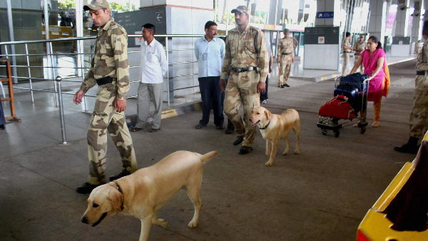 study claims Trained sniffer dogs may detect Covid infected airport passengers study claims Trained sniffer dogs may detect Covid infected airport passengers