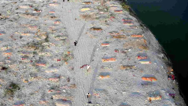 NGT asks UP, Bihar governments to inform number of human corpses found in river NGT asks UP, Bihar governments to inform number of human corpses found in river