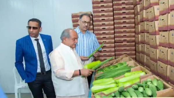 रेगिस्तान में सब्जियां, फल और सुपर फूड